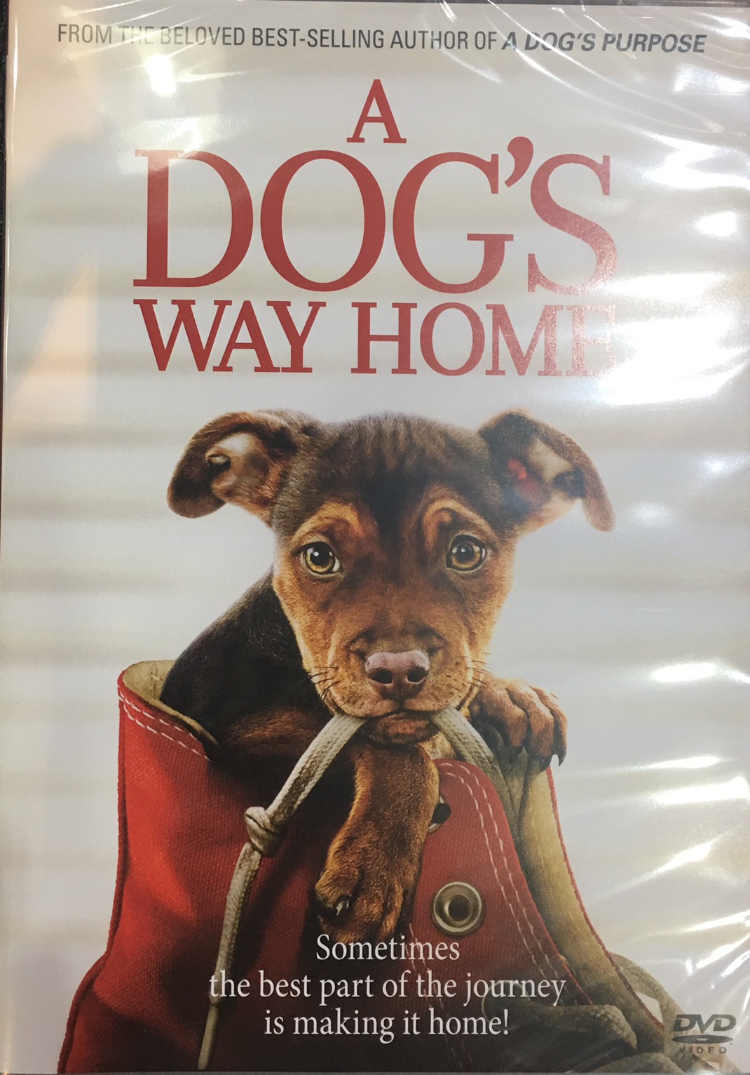 Dog's Way Home 27225/S__111427598.jpg